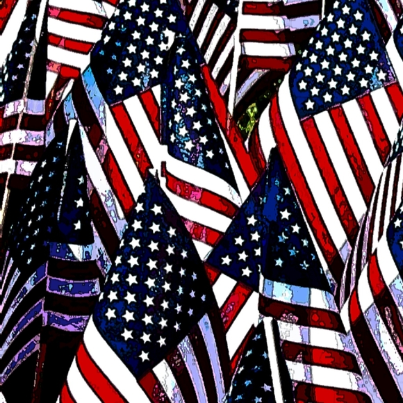 Meet USA_Patriot ! - Picture 8 of 9